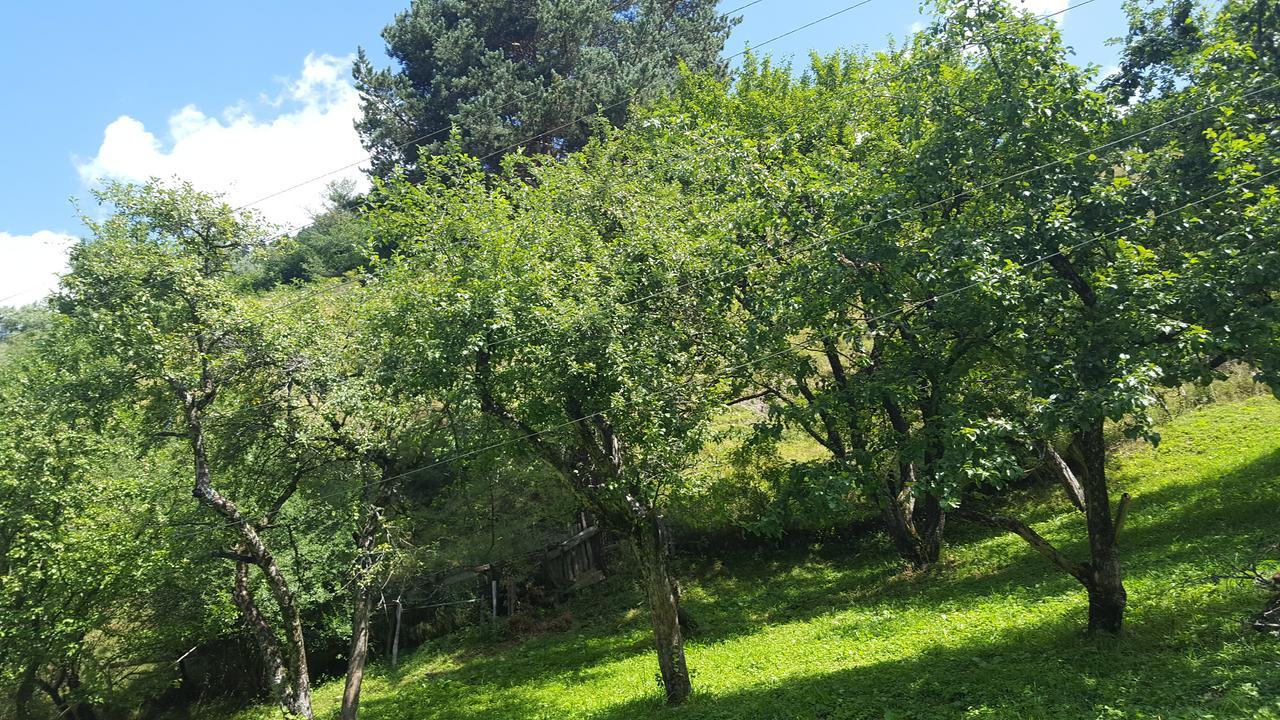 Raul Lushnu Darbaz Panzió Mestia Kültér fotó