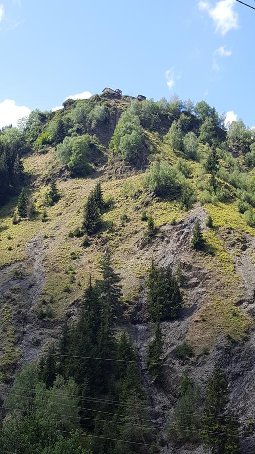 Raul Lushnu Darbaz Panzió Mestia Kültér fotó